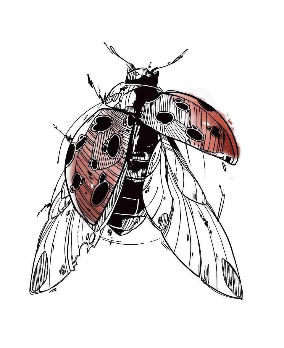 Création coccinelle sketchy par Sarah Fleur