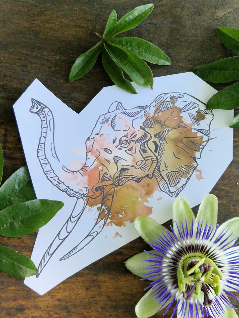 Création elephant sketchy et aquarelle par Sarah Fleur