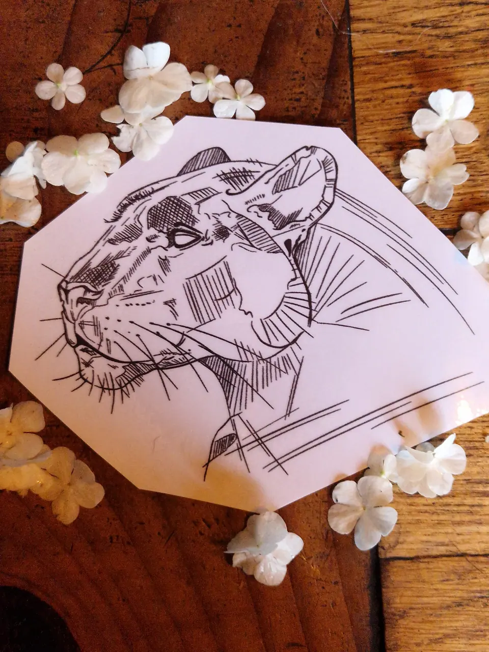 Création lionne profil sketchy par Sarah Fleur