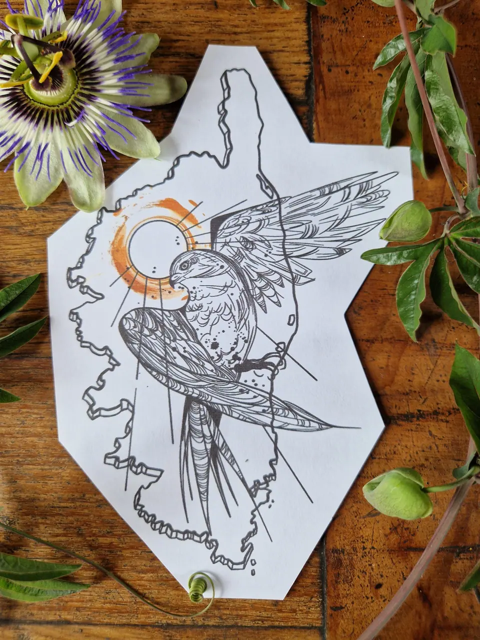 Création map corse soleil et oiseau par Sarah Fleur