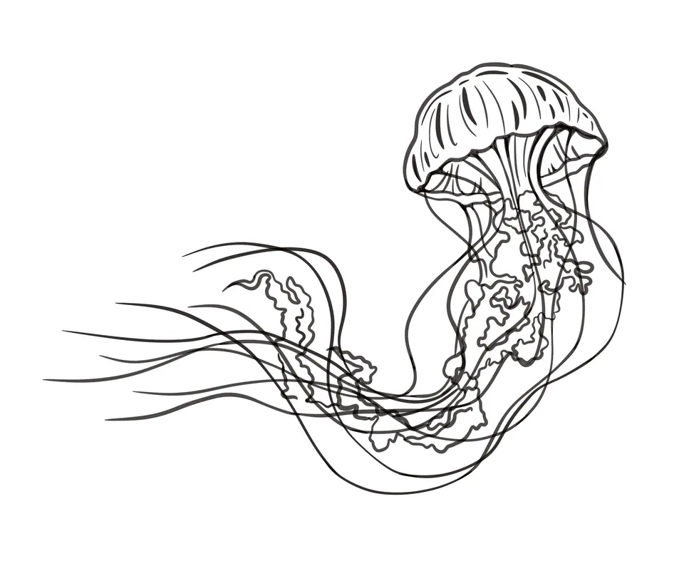Création méduse par Sarah Fleur