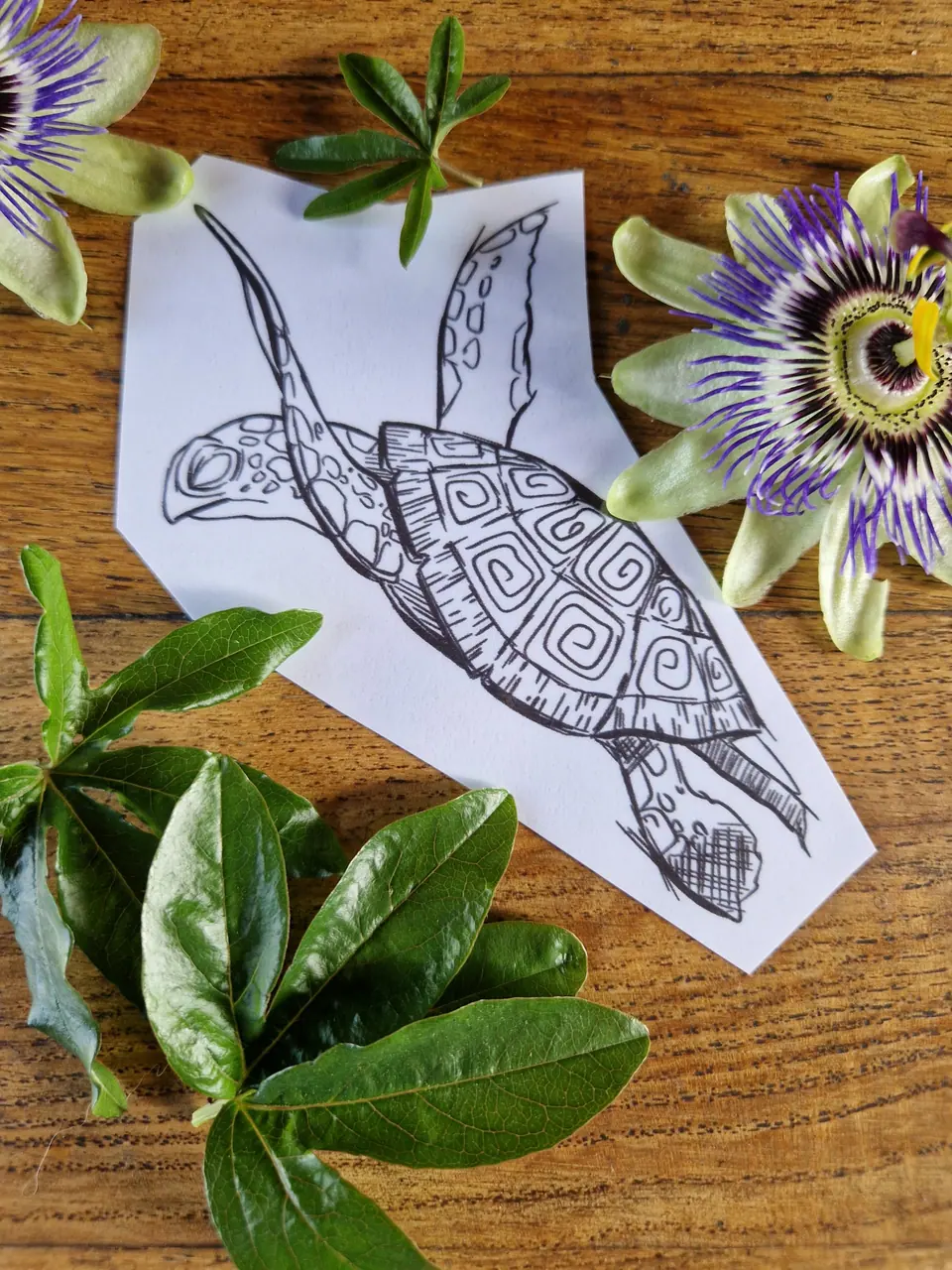 Création tortue style sketchy par Sarah Fleur