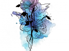 Illustration sans titre