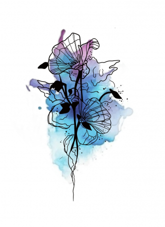 Illustration sans titre