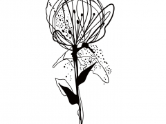 Illustration sans titre