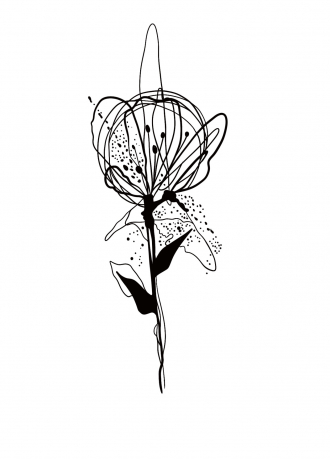 Illustration sans titre