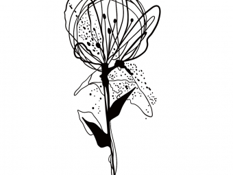 Illustration sans titre