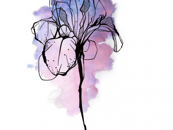 Illustration sans titre