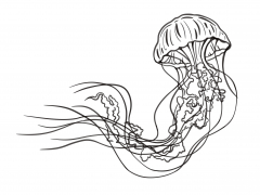 Illustration sans titre