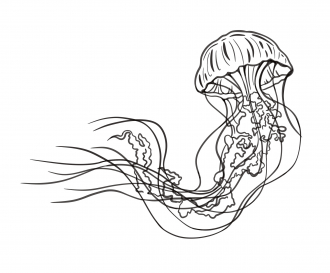 Illustration sans titre