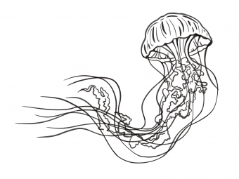 Illustration sans titre