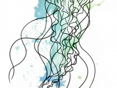 Illustration sans titre