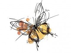 Illustration sans titre