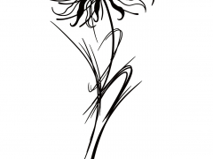 Illustration sans titre