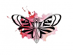 Illustration sans titre