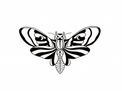 Illustration sans titre