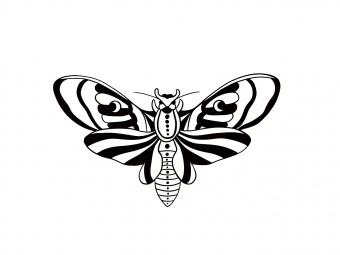 Illustration sans titre