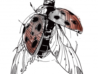 Illustration sans titre