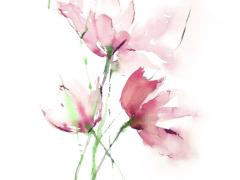 Illustration sans titre