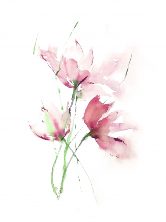 Illustration sans titre