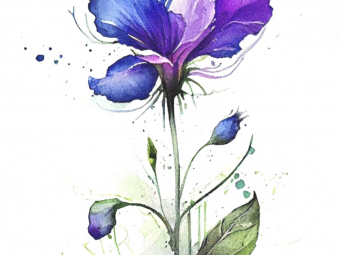 Illustration sans titre