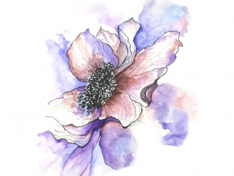 Illustration sans titre