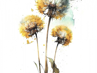 Illustration sans titre