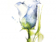 Illustration sans titre