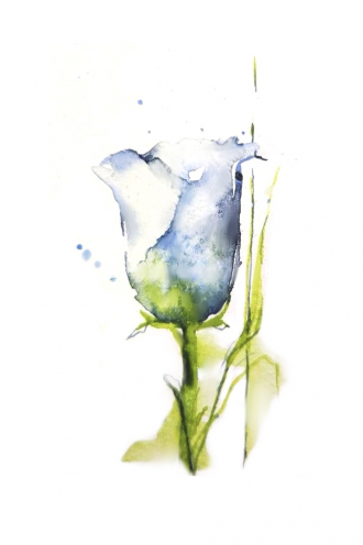 Illustration sans titre