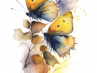 Illustration sans titre