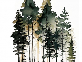 Illustration sans titre