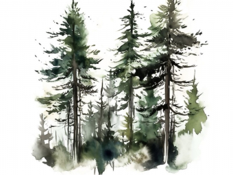 Illustration sans titre