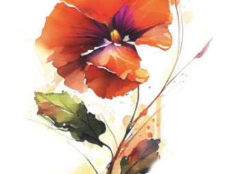 Illustration sans titre