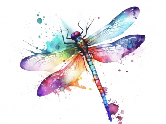 Illustration sans titre